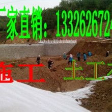 山東土工材料生產(chǎn)廠 專注于土工格柵、玻璃纖維格柵及土工針刺地毯的制造